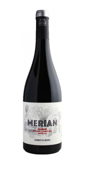 Merian negre
